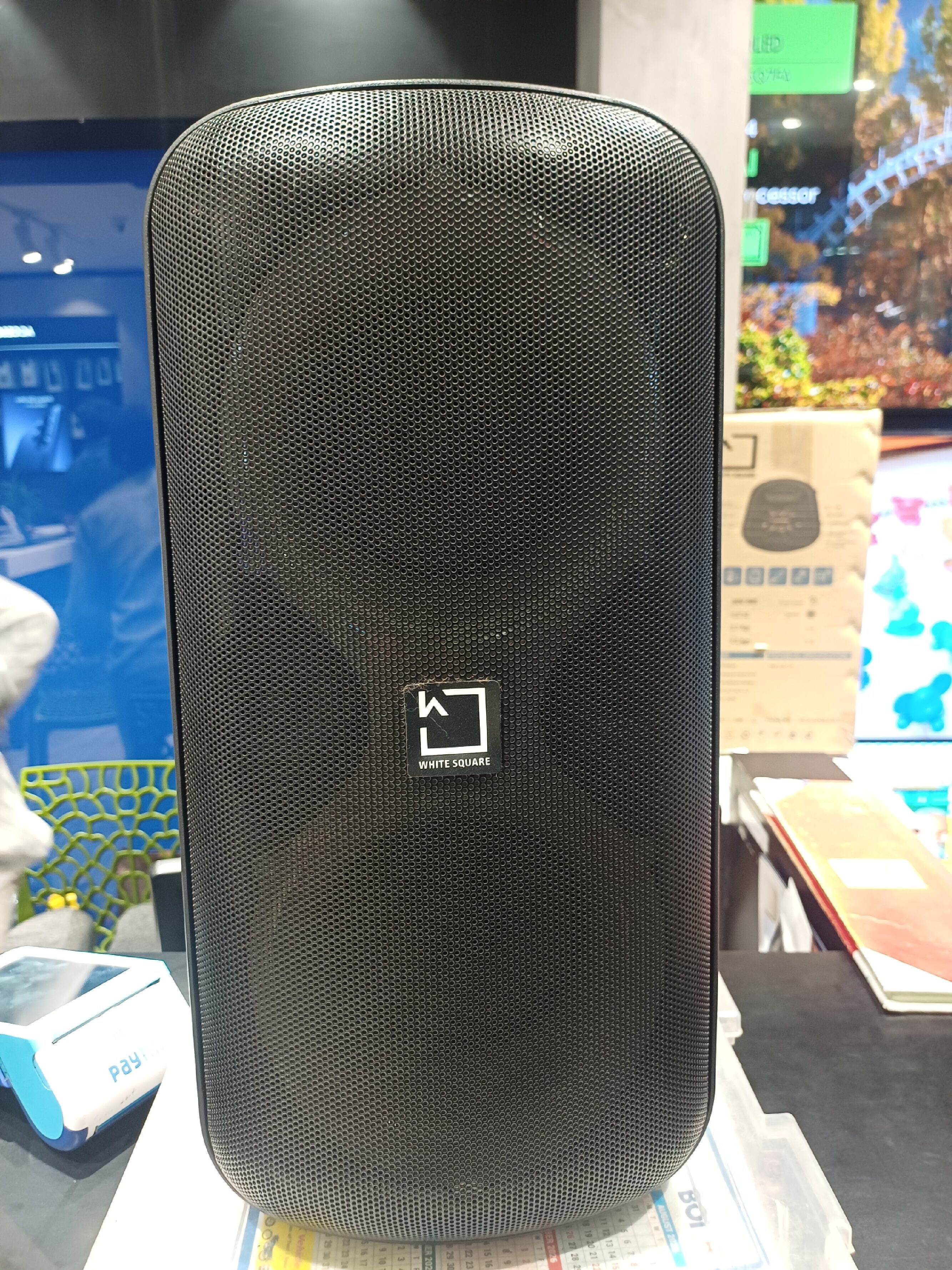 WHITE SQUARE KARAOKE SPEAKER-PWS ZSZ4